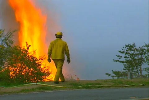 Mt. Tam Control Burn 06 Stock Footage 505608