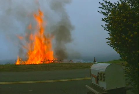 Mt. Tam Control Burn 08 Stock Footage 505616