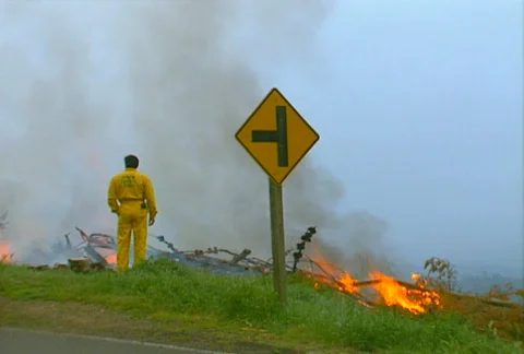 Mt. Tam Control Burn 10 Stock Footage 505619