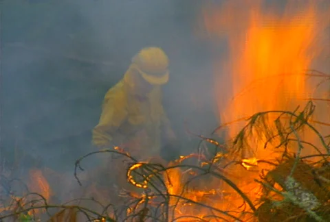 Mt. Tam Control Burn 12 Stock Footage 505635
