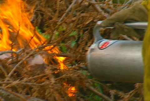 Mt. Tam Control Burn 14 Stock Footage 505641