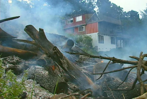 Mt. Tam Control Burn 15 Stock Footage 505642