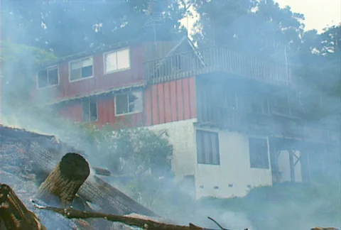 Mt. Tam Control Burn 16 Stock Footage 505644