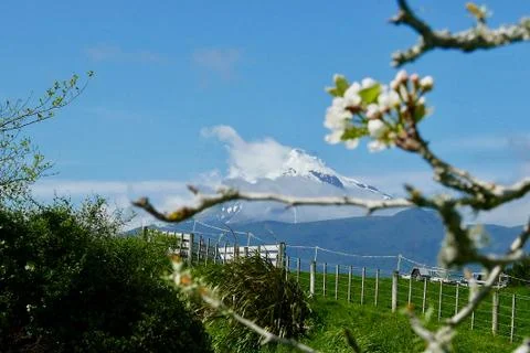 Mt Taranaki on Bright spring day Stock Photos