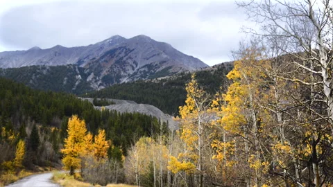 Mt. Tecumseh in Crow's Nest Pass, Alberta Rockies, Stock Footage 294259634