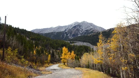 Mt. Tecumseh in Crow's Nest Pass, Alberta Rockies Stock Footage 294259653