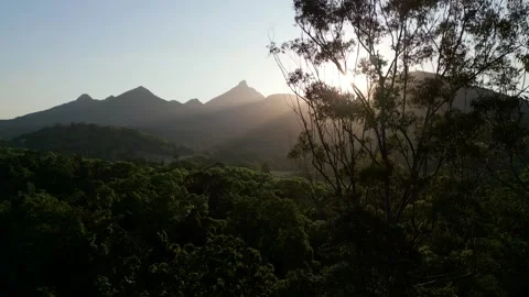 Mt Warning behind gum tree Stock Footage 254038361