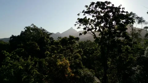 Mt Warning viewed through the trees 스톡 동영상 254038339