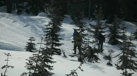 Mt. Washington B.C. Canada. Cross country skiers Stockbeeldmateriaal 21785490