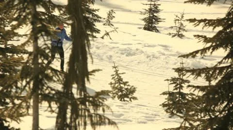 Mt. Washington B.C. Canada. Cross country skiers Stock Footage 21786331