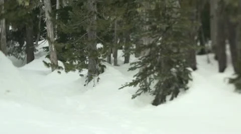 Mt. Washington B.C. Canada. Man snow shoeing. Vidéo 21787855