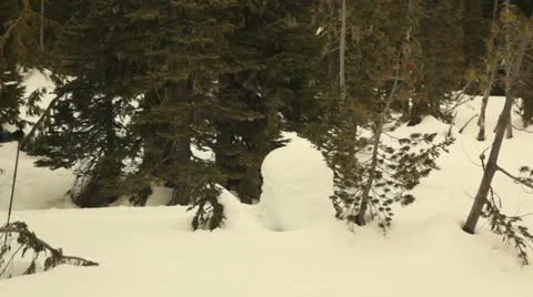 Mt. Washington B.C. Canada. Man snow shoeing. Stock Footage 21788557