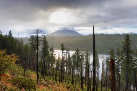 Mt Washington Cascade Volcano Stock Photos