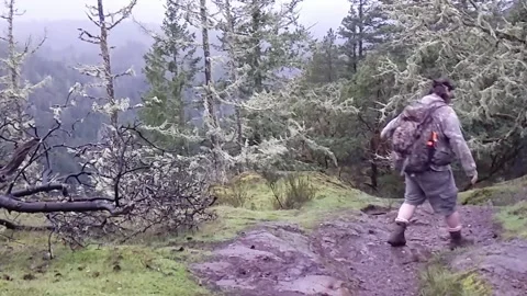 Mt. Wells - Man hiking down Stock Footage 172564878