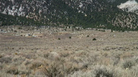 Mt. Whitney (tilt) Stock Footage 565192