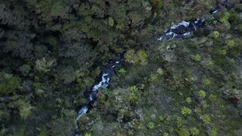 Mt Wilhelm River Follow through Stock Footage 221116119