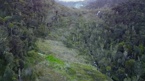 Mt Wilhelm Waterfall Stock Footage 221115488
