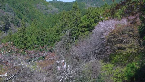 Mt Yoshino in Spring, Rope Way Gondola Carries People up Mountain in Nara Japan Stock Footage 340780220
