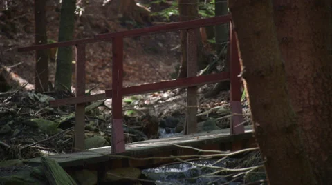 MTB bike riders Video stock 34301220