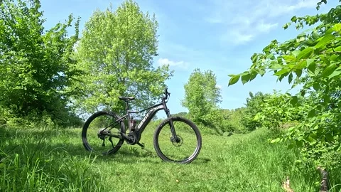 A mtb in a grass field with trees around it in the daylight. Stock Footage 242860782