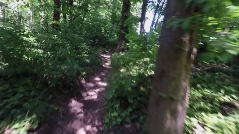 Mtb in monza's park Vídeos de archivo 75049868