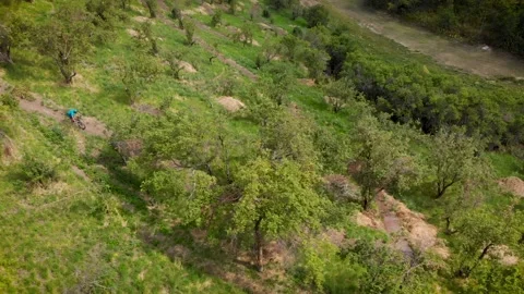 Mtb rider in the mountain track park Video stock 237456339