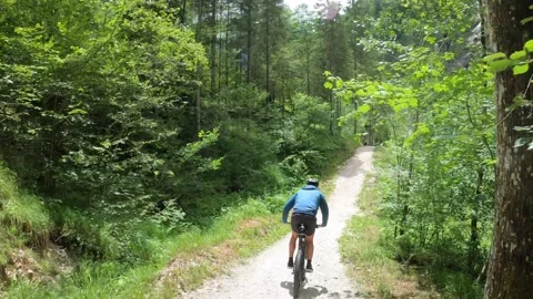 MTB riding down a Trail through a lush Forest, Austria Stock Footage 140849155