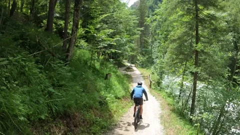MTB riding down a Trail through a lush Forest, Austria Stock Footage 140849290
