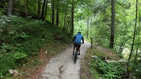 MTB riding down a Trail through a lush Forest, Austria Stock Footage 140849745