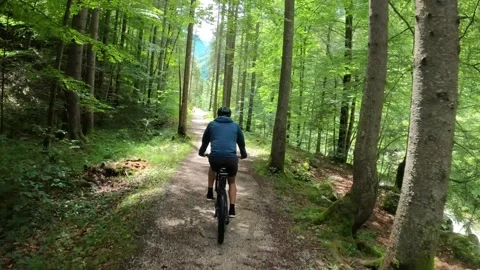 MTB riding down a Trail through a lush Forest, Austria Stock Footage 140849822