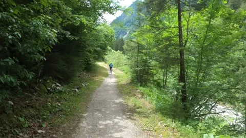 MTB riding down a Trail through a lush Forest, Austria Stock Footage 140849889