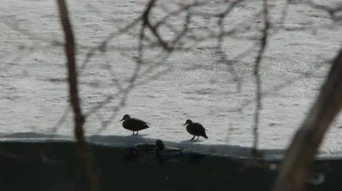 Mt.Bandai Stock Footage 11065964