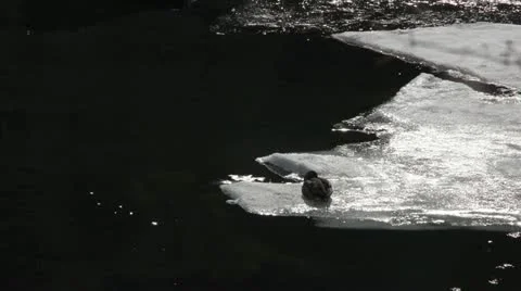 Mt.Bandai Stock Footage 11065995