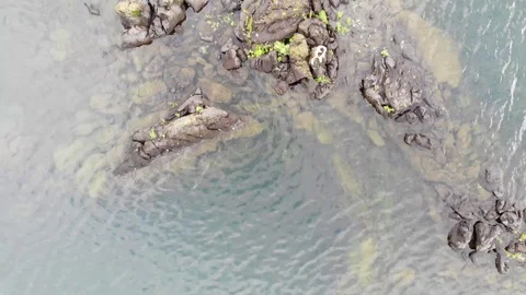 Mt.Fuji reveal Vidéo 122925403