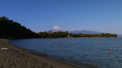 Mt.Fuji with seabirds Stock Footage 329671491