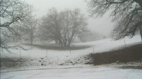 MtHamiliton SnowFallWS Stock Footage 441869