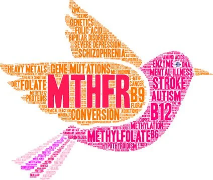 MTHFR Brain Word Cloud Stock-Illustration