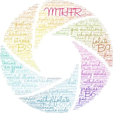 MTHFR Brain Word Cloud Stock-Illustration