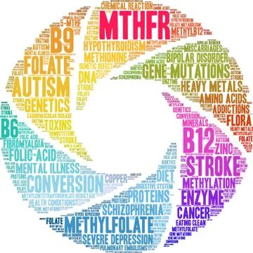 MTHFR Brain Word Cloud Stock Illustration