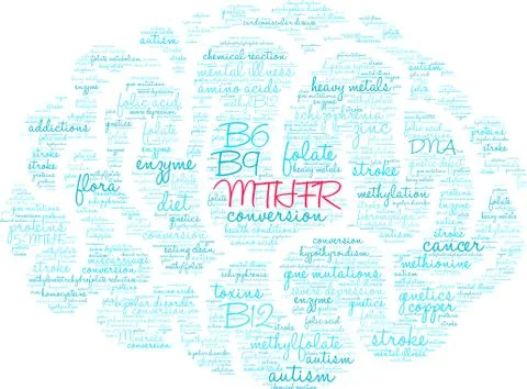 MTHFR Brain Word Cloud Ilustração Stock