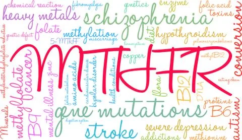 MTHFR Brain Word Cloud Stock-Illustration