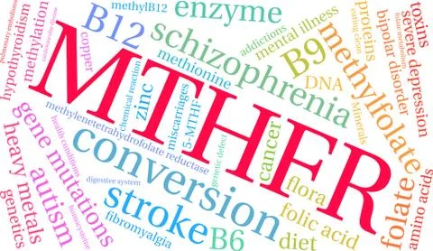 MTHFR Brain Word Cloud Illustrazione stock