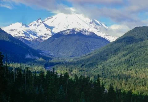 Mt.Rainier, Washington Stock Photos