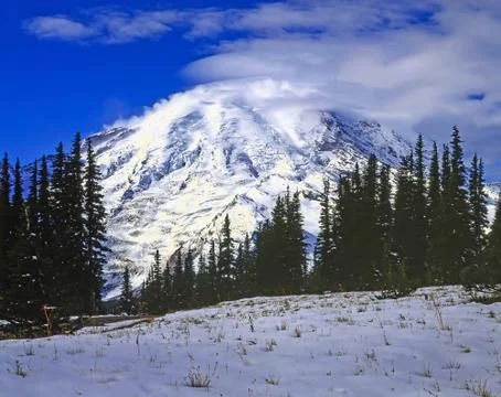 Mt.Rainier, Washington Stock Photos