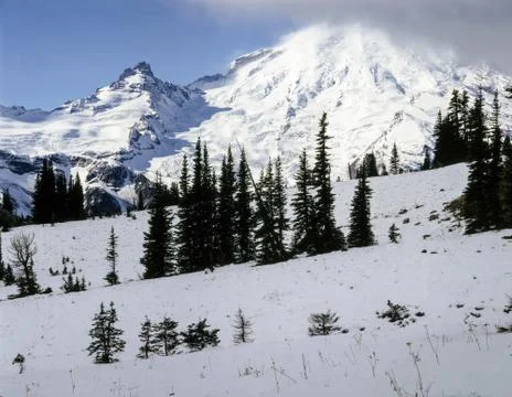 Mt.Rainier, Washington Stock Photos