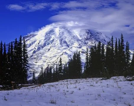Mt.Rainier, Washington Stock Photos