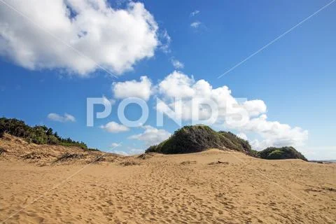 Mtunzini Beach Coastal Landscape in South Africa Stock Photos