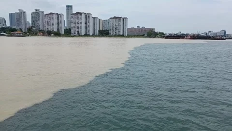 Muara Stock Footage 282448398