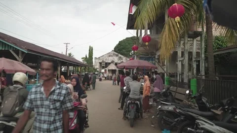 Muara Tembesi Undeveloped Sub District in Batanghari Regency Jambi Indonesia Stock Footage 245841424