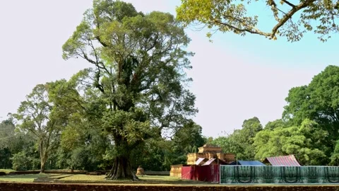The Muaro Jambi Temple Stock Footage 251691245